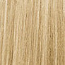 Kleur 10N - Extra Light Blonde 10N - Extra Light Blonde