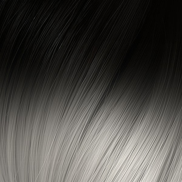 Seiseta kleur 1B/SILVERO - Zwart / zilver Ombre