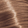 Kleur 10/03 Naturel-goud lichtste blond 10/03 Naturel-goud lichtste blond