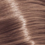 Kleur 12/61 Special Blonde violet-as 12/61 Special Blonde violet-as