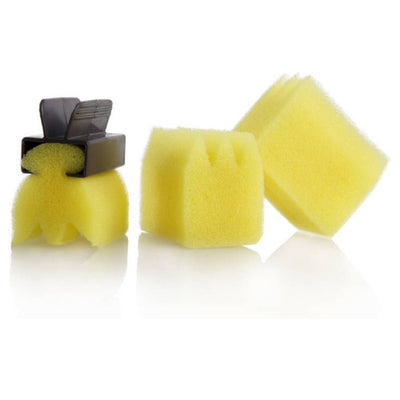 HairCare Permanent Sponsjes 3 Stuks Met Houder